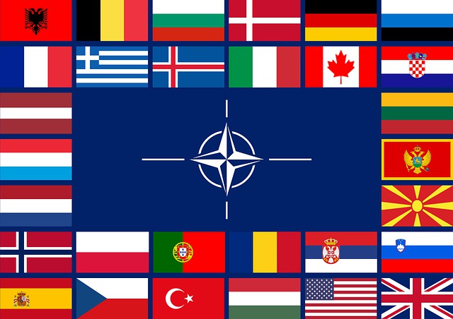Kuvassa on Naton tunnus, jota ympäröivät jäsenmaiden liput.